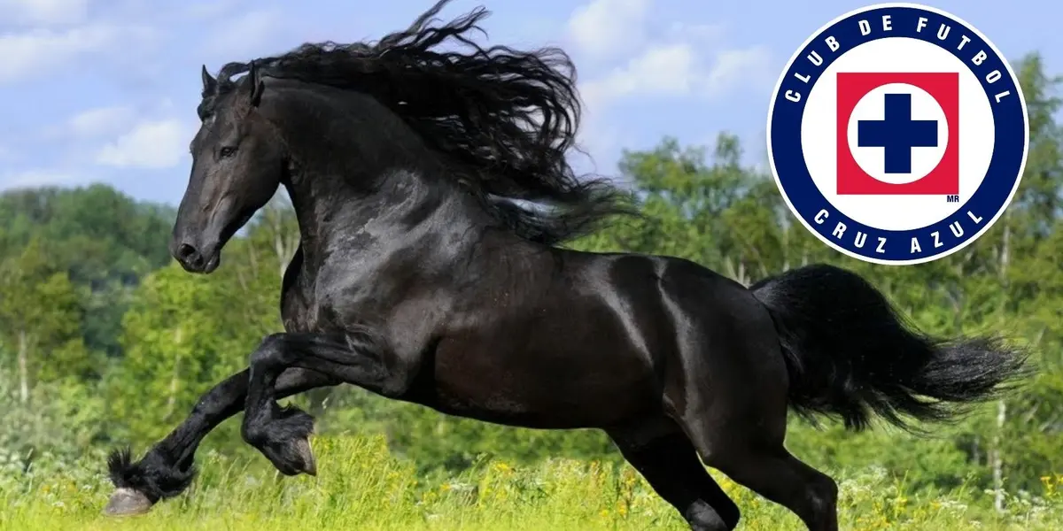 Dejó las canchas para dedicarse a su pasión que son los equinos.