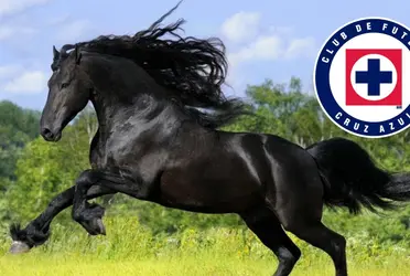 Dejó las canchas para dedicarse a su pasión que son los equinos.