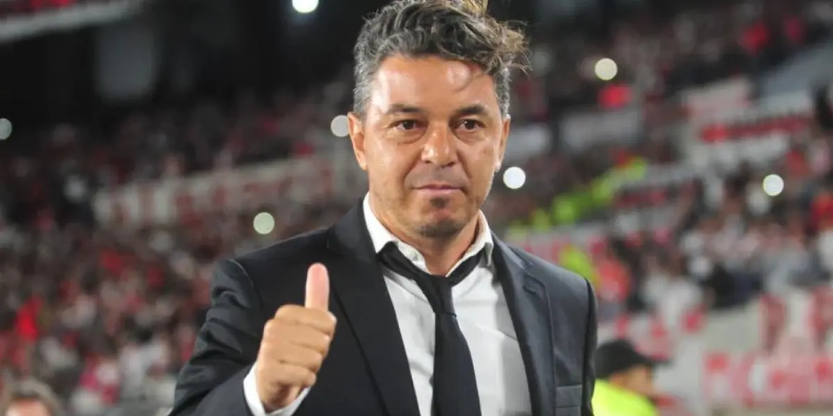 Marcelo Gallardo, DT de River Plate - Foto: AP